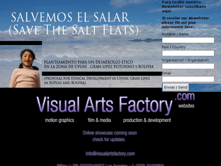 www.visualartsfactory.com