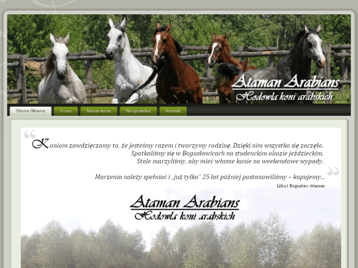 www.ataman-arabians.com