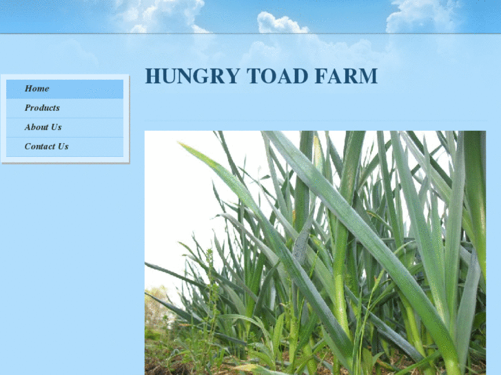 www.hungrytoadfarm.com