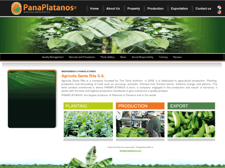 www.panaplatanos.com