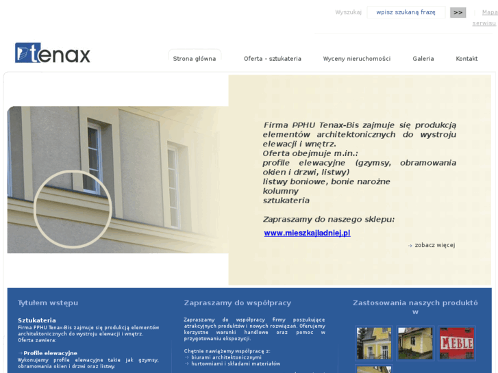 www.sztukateria-tenax.pl