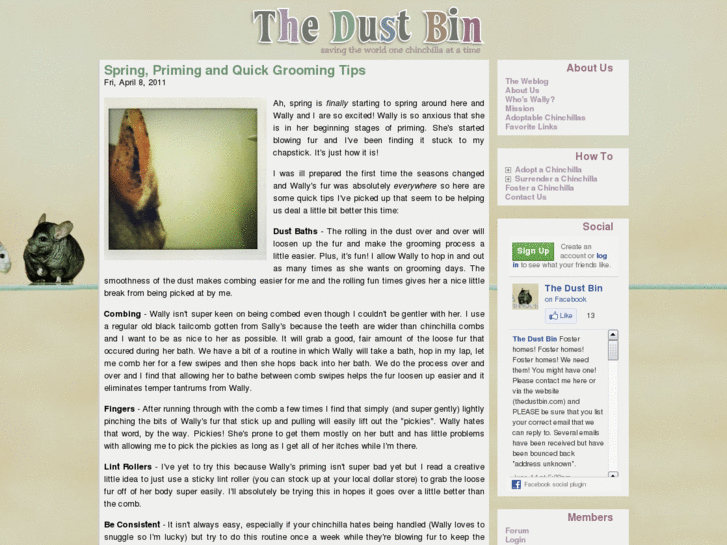 www.thedustbin.net