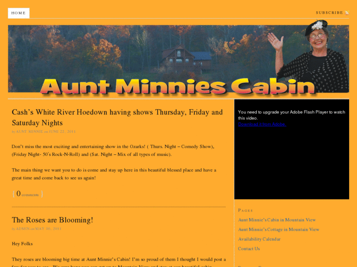 www.auntminniescabins.com