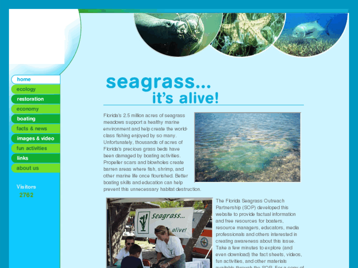 www.flseagrass.org