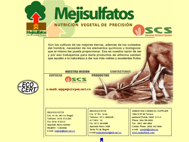 www.mejisulfatos.com