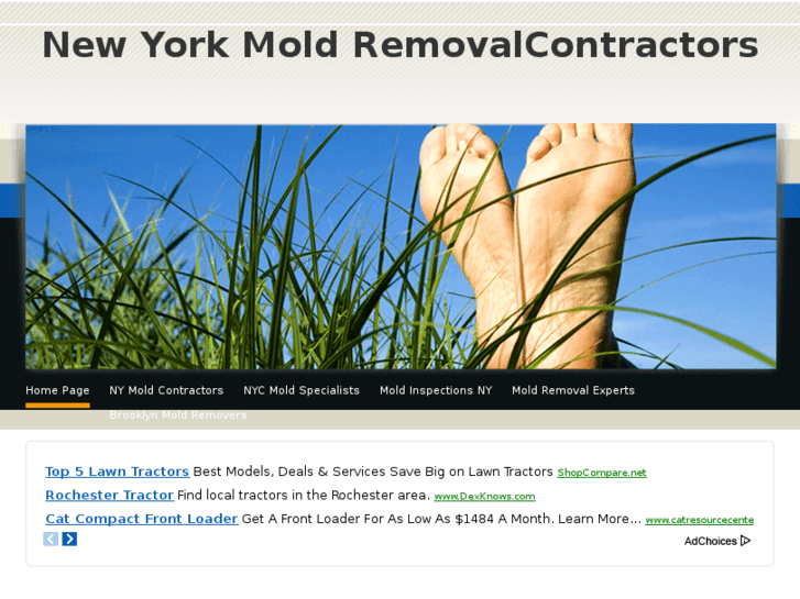 www.nymoldremovalcontractors.com