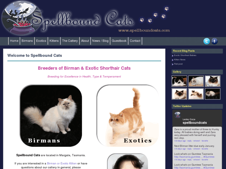 www.spellboundcats.com