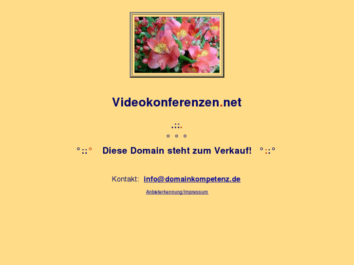 www.videokonferenzen.net