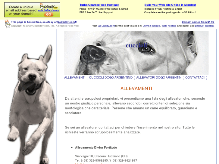 www.allevatoridogoargentino.com