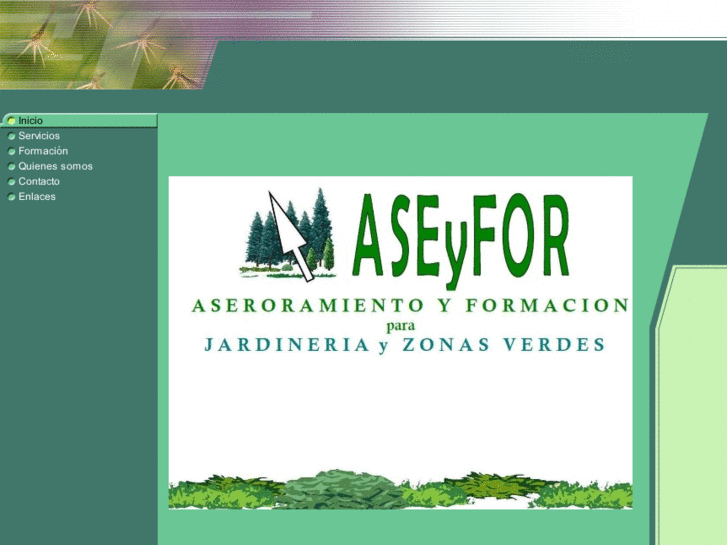 www.aseyfor.es