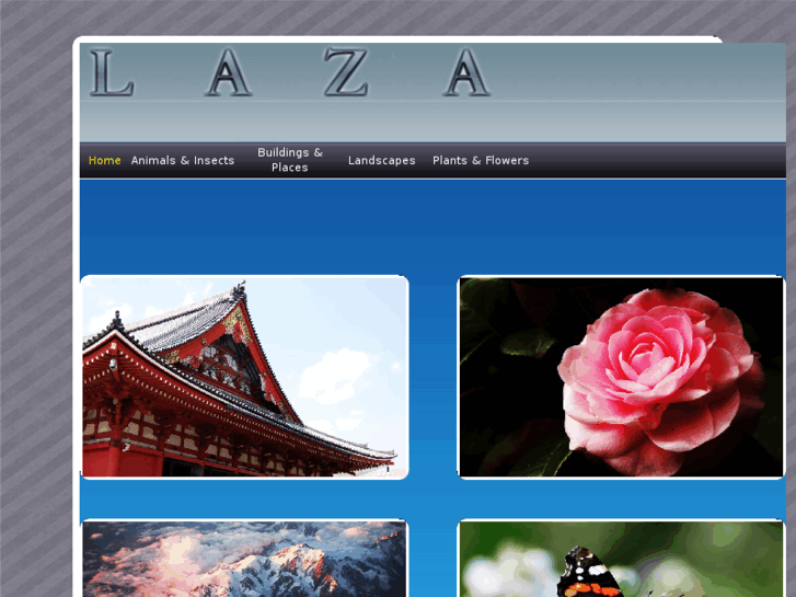 www.laza.co.uk