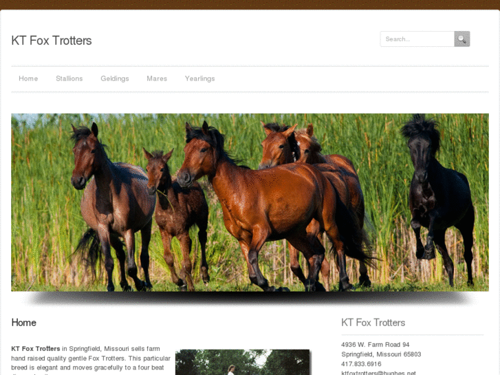 www.trail-horses.com