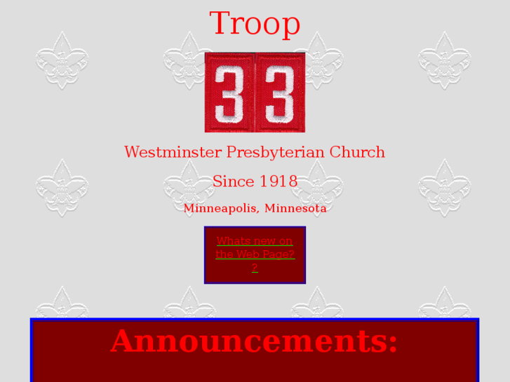 www.troop33.net