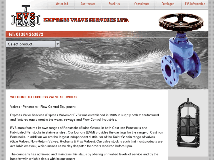 www.expressvalveservices.net