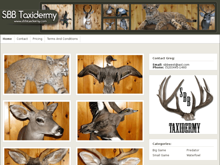 www.sbbtaxidermy.com