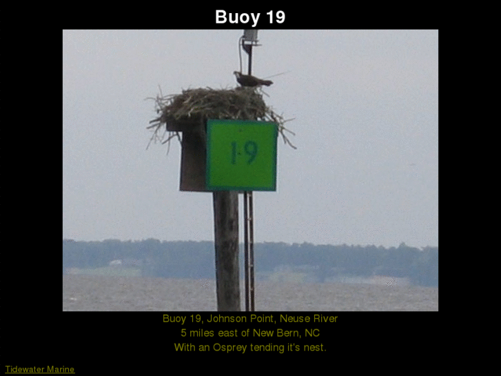 www.buoy19.com