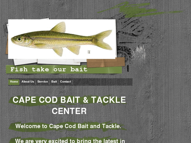 www.capecodbaitandtackle.com