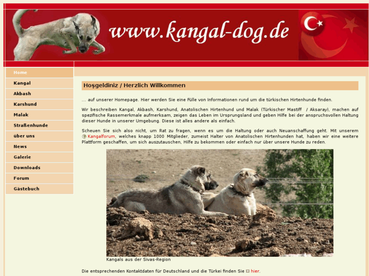 www.kangal-dog.de