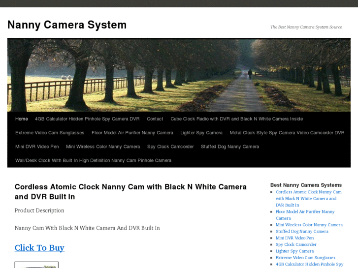 www.nannycamerasystem.com