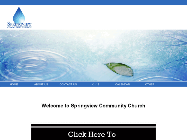 www.springviewcc.org