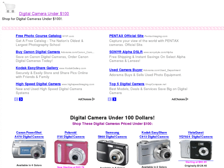 www.digitalcameraunder100.com