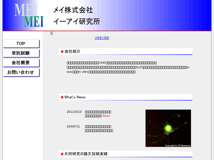 www.eires-mei.com