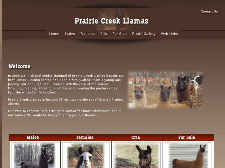 www.prairiecreekllamas.com