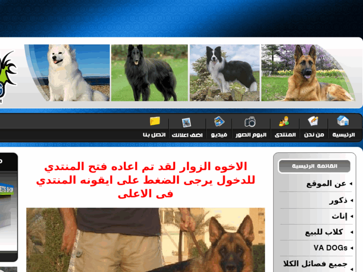 www.q8dogs.com