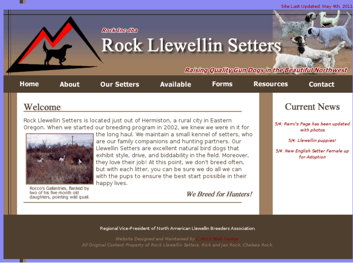 www.rockllewellinsetters.com