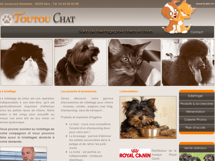 www.toutouchat.com