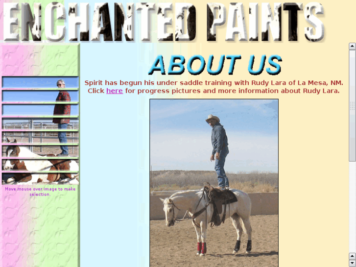 www.enchantedpaints.com