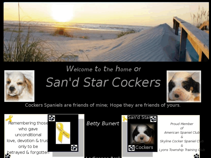 www.sandstarcockers.com