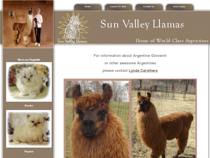 www.sunvalleyllamas.com