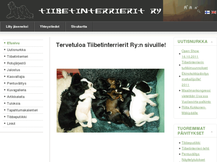 www.tiibetinterrierit.com