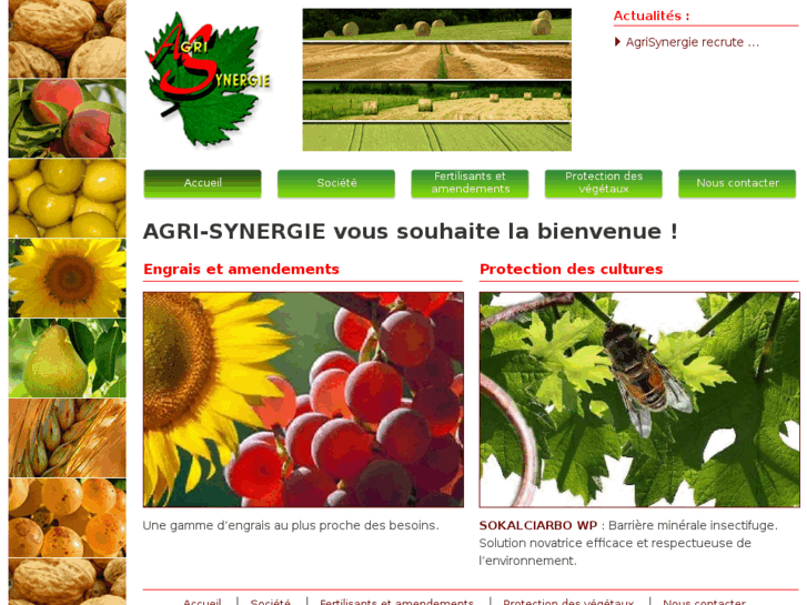 www.agrisynergie.com