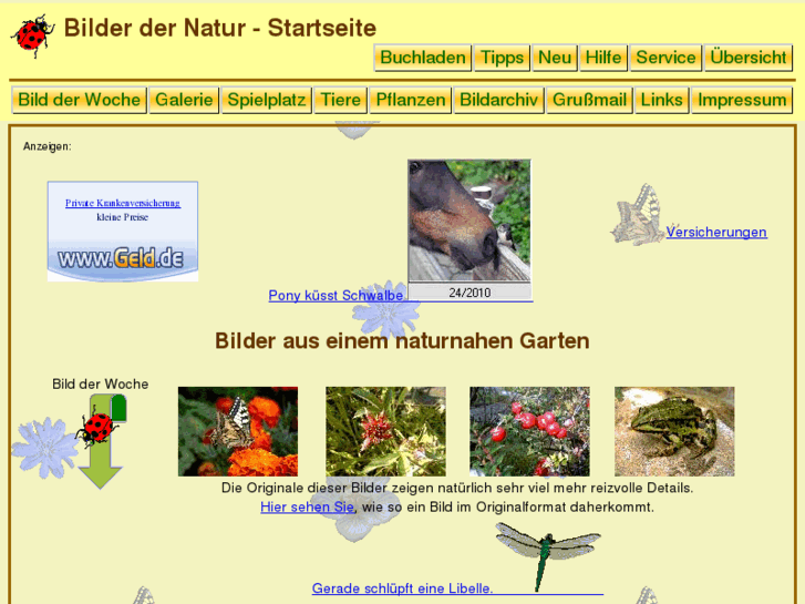 www.bilder-der-natur.de