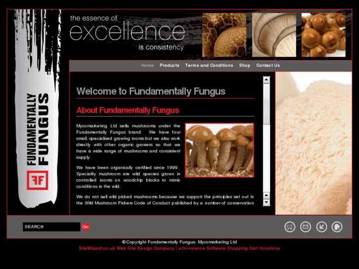 www.fundamentallyfungus.com