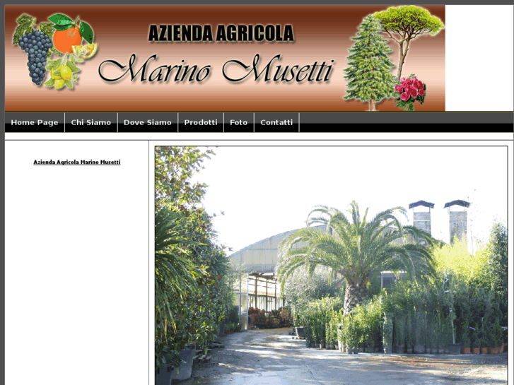 www.marinomusetti.it