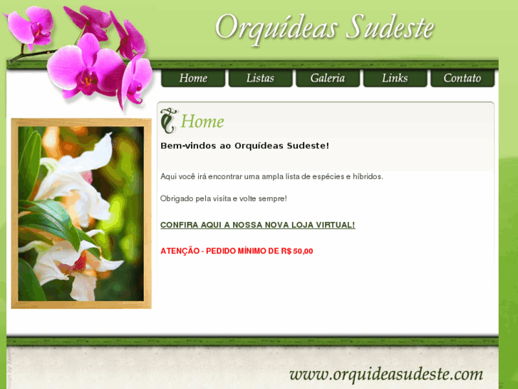 www.orquideasudeste.com