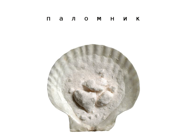 www.palomnik.net