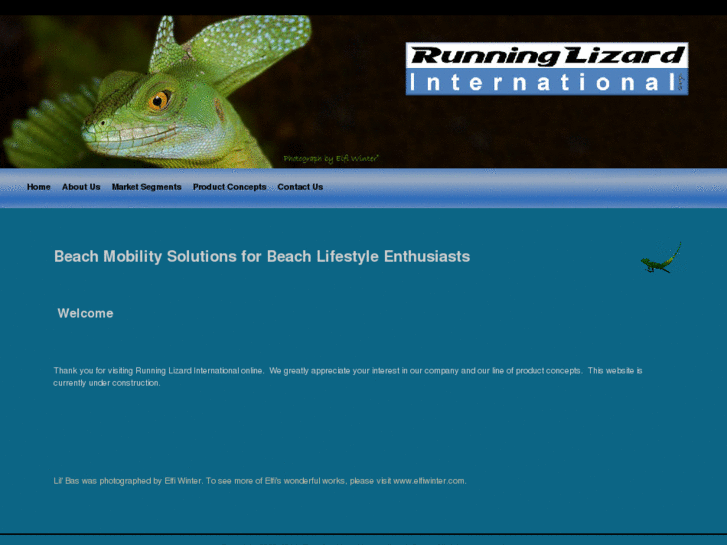 www.runninglizard.net