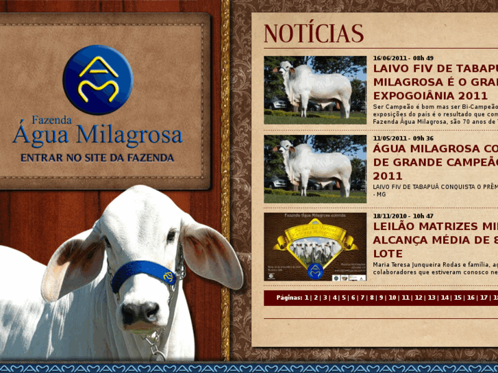 www.aguamilagrosa.com.br