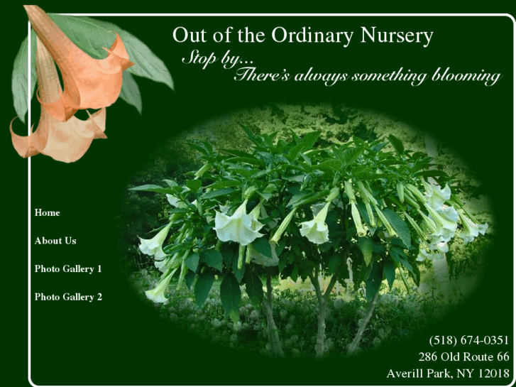 www.outoftheordinarynursery.com