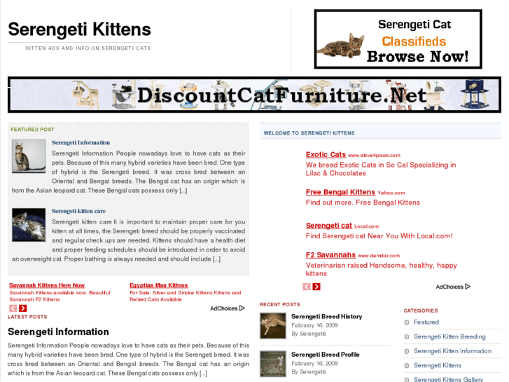 www.serengetikittens.net