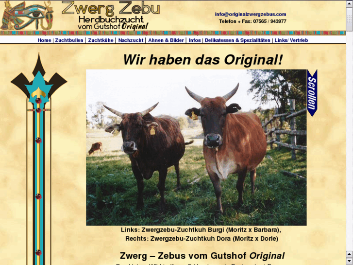 www.zwergzebuoriginal.com