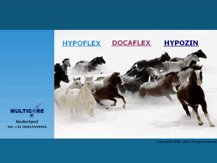 www.hypozin.com