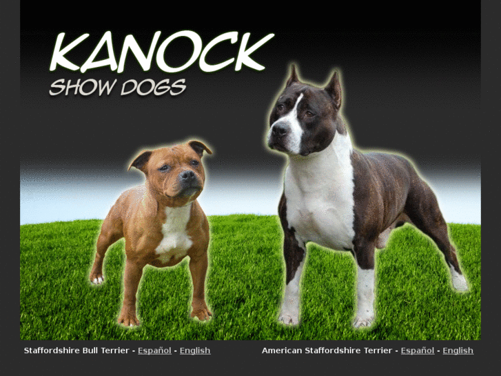 www.kanock.com