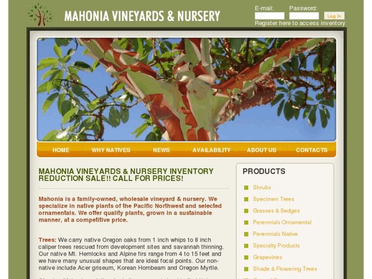 www.mahonianursery.com