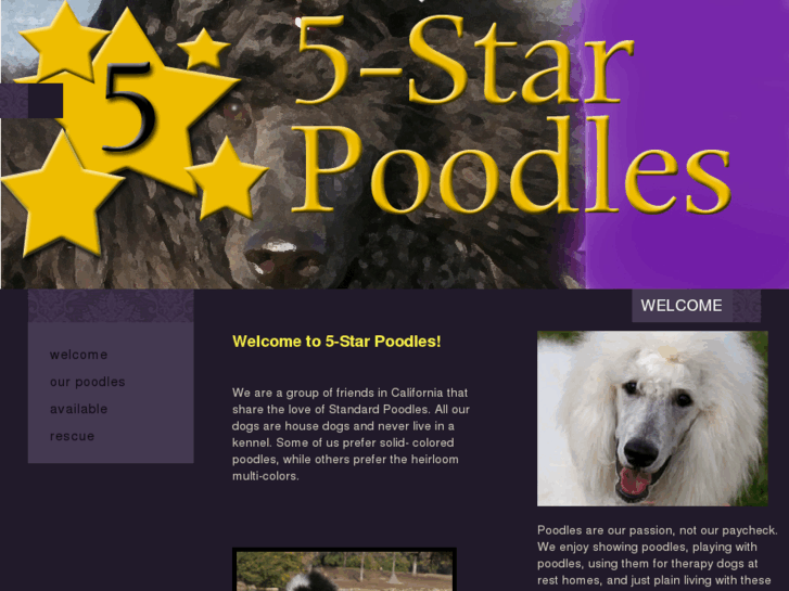 www.5starpoodles.com