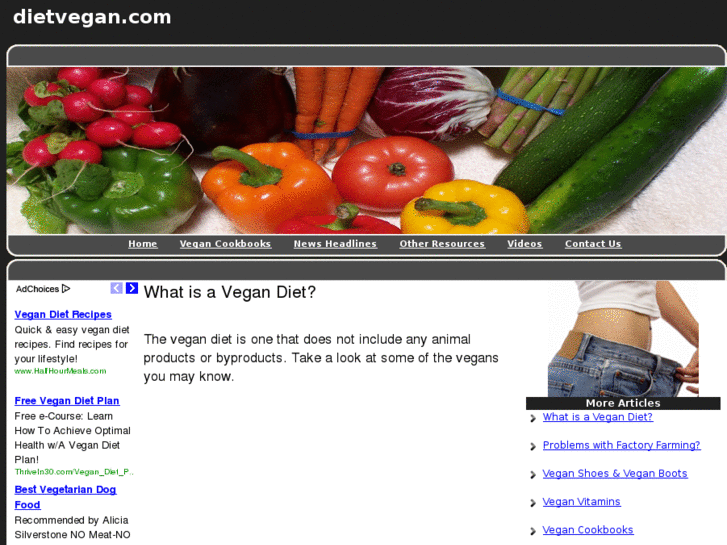 www.dietvegan.com